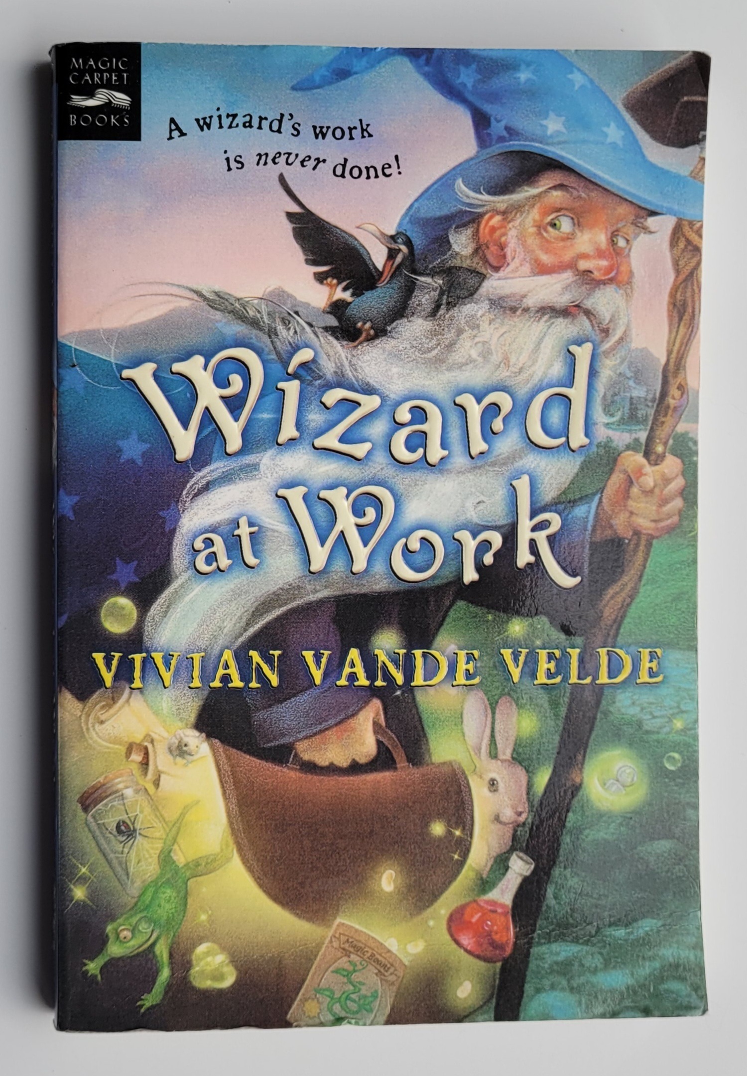 Wizard at Work by Vivian Vande Velde